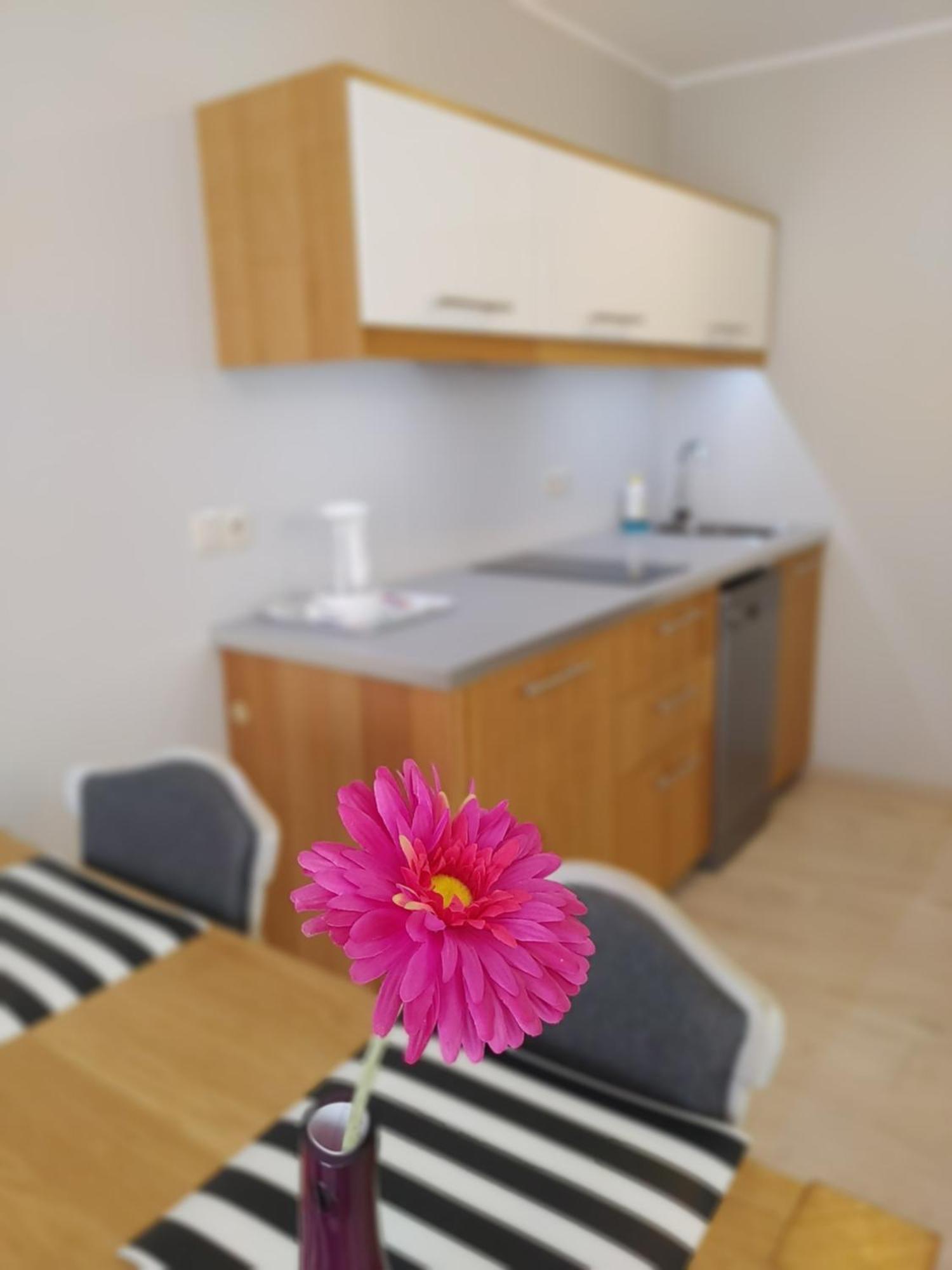 Aparthotel Luna&Sol Jastrzębia Góra Dış mekan fotoğraf